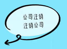 網(wǎng)上可以異地注銷公司嗎？